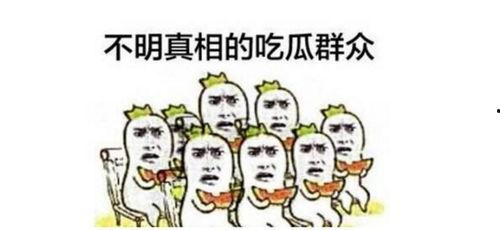 星尘吃瓜群众